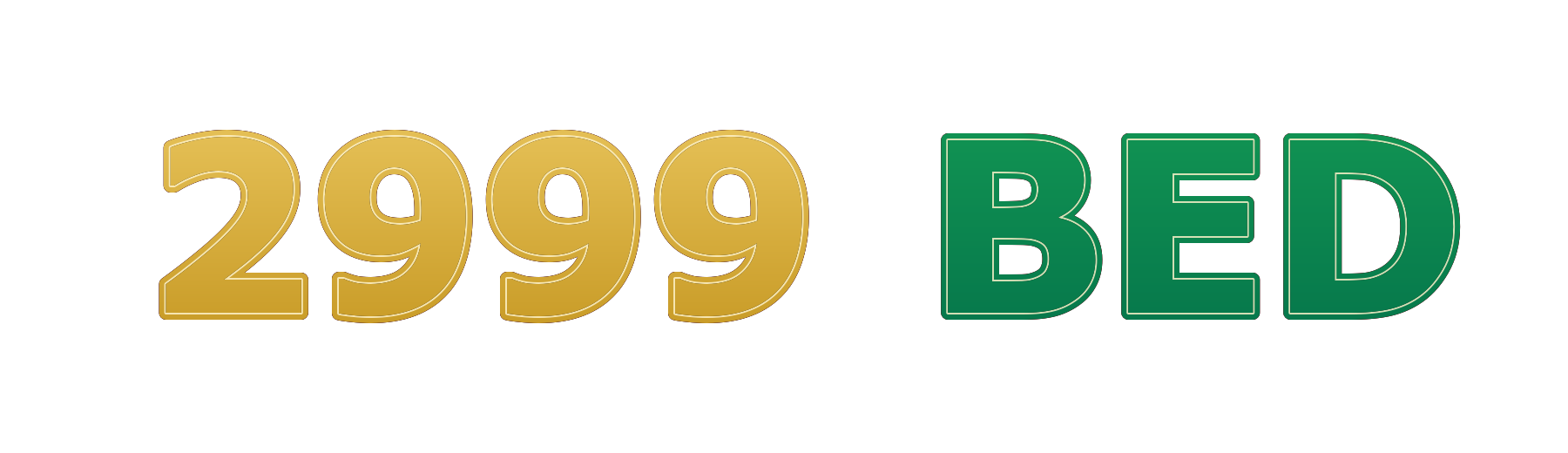 2999 bed লোগো